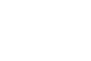 The Arch Reno